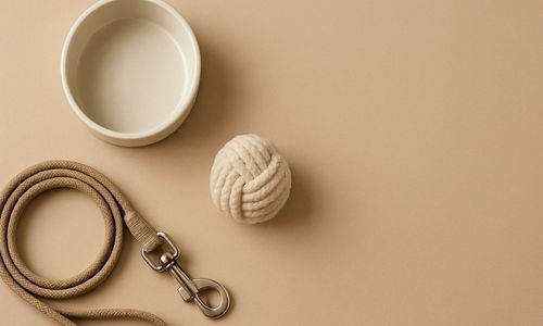Pet Accessories