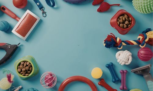 Pet Toys