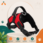 Quick Release Dog Harness Vest
