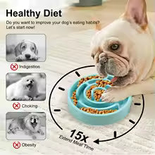 Anti-Gulping Slow Feeder Pet Bowl