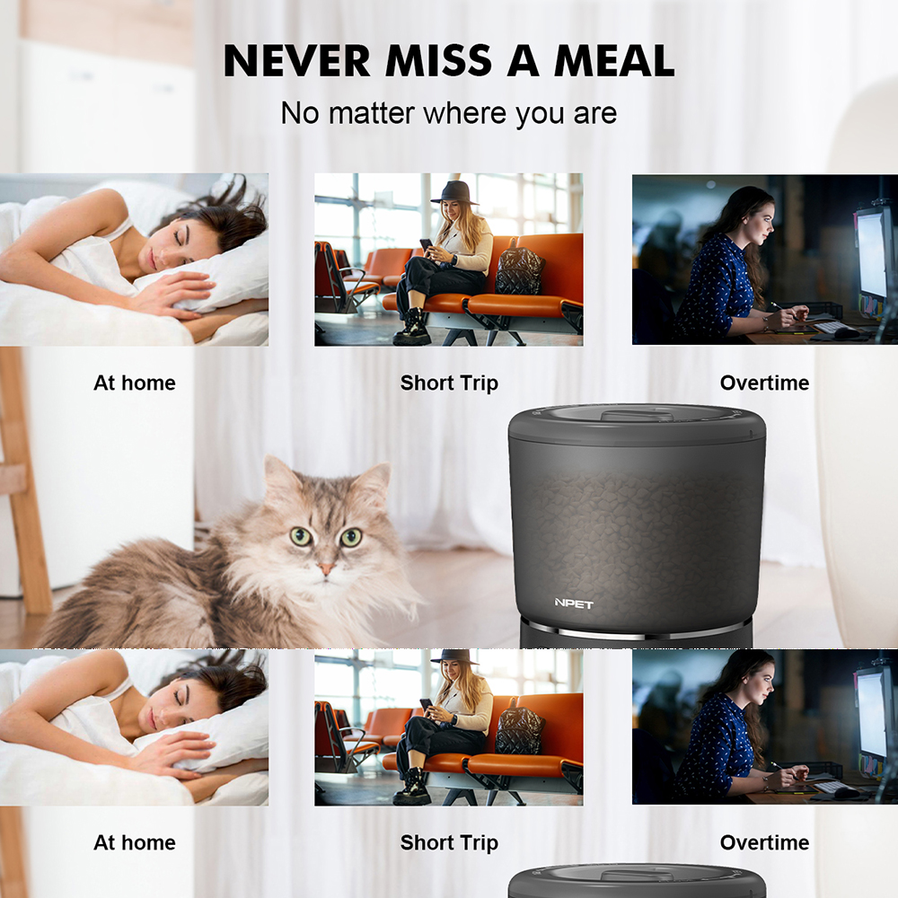 Automatic Dog & Cat Feeder
