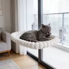 Foldable Cat Window Hammock Bed