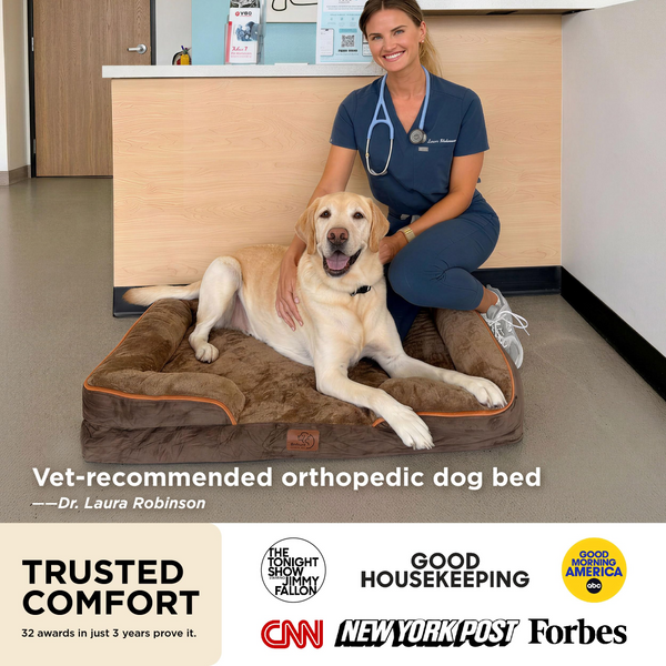 CloudComfort™ Orthopedic Dog Bed